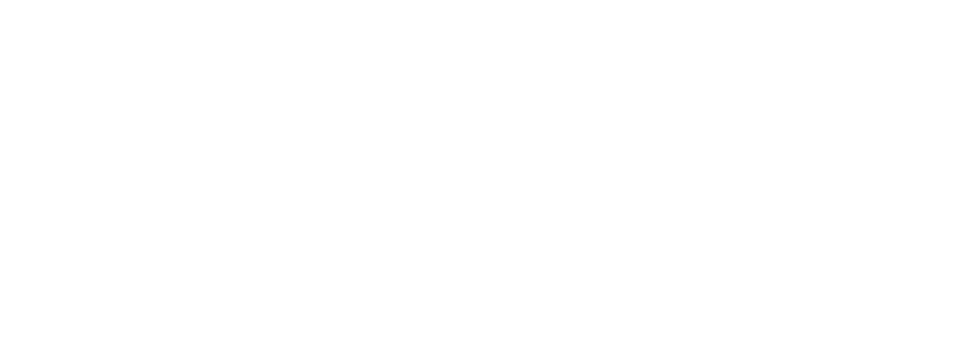 Logo Connect 981