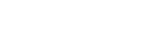 Logo Connect 981 (C-981)